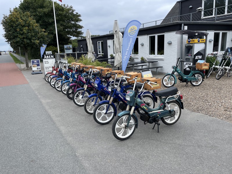 Some of our mopeds